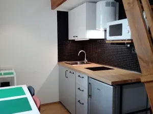 Prodej bytu 1+kk, Praha - Nové Město, Sokolská, 23 m2
