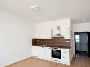 Pronájem bytu 1+kk, Písek, Žižkova třída, 30 m2