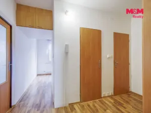 Pronájem bytu 1+1, Plasy, Potoční, 42 m2