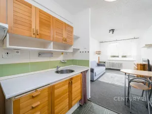 Prodej bytu 2+kk, Teplice, V závětří, 41 m2