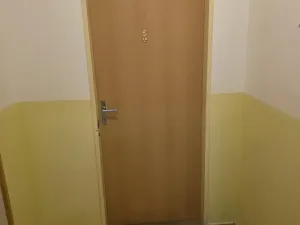 Pronájem bytu 1+kk, Teplice, Lípová, 36 m2