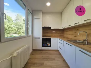 Pronájem bytu 3+1, Ostrava, Holasova, 74 m2