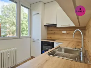 Pronájem bytu 3+1, Ostrava, Holasova, 74 m2