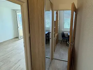 Pronájem bytu 1+1, Židlochovice, sídl. Družba, 35 m2