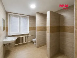 Pronájem bytu 1+1, Hradec Králové - Pražské Předměstí, Vocelova, 43 m2