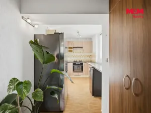 Prodej bytu 3+1, Kněževes, Štrosova, 55 m2