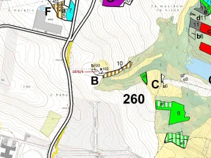 Dražba lesa, Třebíč, 601 m2