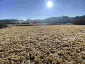 Dražba louky, Kváskovice, 10470 m2