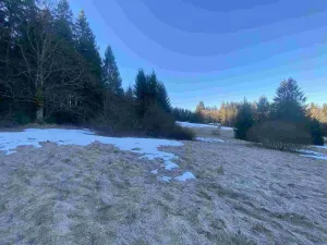Prodej pole, Železná Ruda, 2377 m2