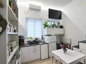 Prodej obchodního prostoru, Bruzovice, 773 m2