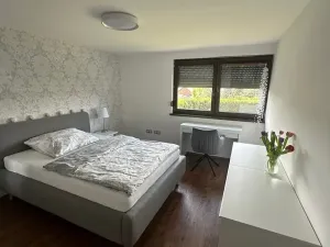 Prodej rodinného domu, Borek, 170 m2