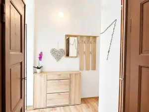 Pronájem bytu 2+kk, Plzeň, Čechova, 48 m2