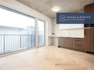 Pronájem bytu 1+kk, Brno, Koliště, 23 m2