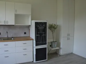 Pronájem bytu 1+1, Čelechovice na Hané, 54 m2