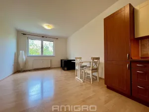 Pronájem bytu 1+kk, Brno, Božetěchova, 32 m2