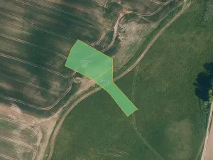 Prodej pole, Černotín, 3040 m2