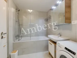 Pronájem bytu 1+kk, Praha - Karlín, Breitfeldova, 38 m2