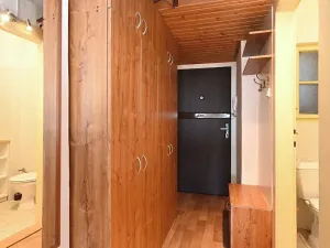 Pronájem bytu 1+kk, Praha - Vinohrady, Fričova, 32 m2