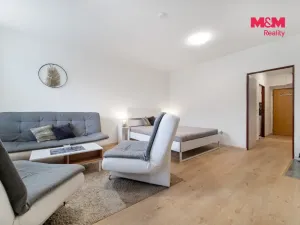 Prodej bytu 1+1, Loučná nad Desnou - Kociánov, 42 m2