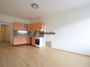 Pronájem bytu 2+kk, Praha - Nusle, Žateckých, 52 m2