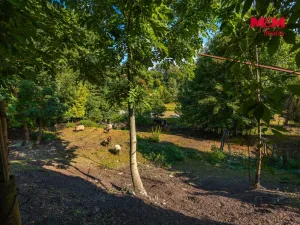 Prodej rodinného domu, Kostelec nad Orlicí, Stradinská, 170 m2