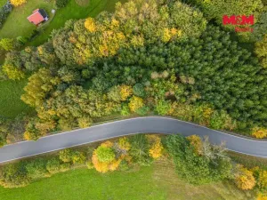 Prodej lesa, Kosov, 467 m2