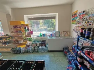 Pronájem obchodního prostoru, Prostějov, Dvořákova, 250 m2