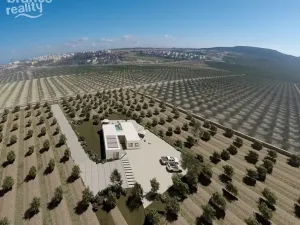 Prodej rodinného domu, Algorfa, Alicante, Španělsko, 199 m2