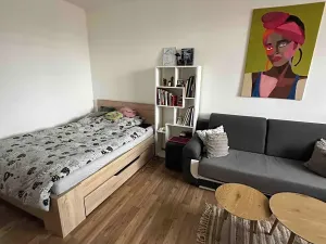 Pronájem bytu 1+1, Frýdek-Místek, Javorová, 35 m2