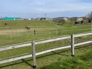 Prodej pozemku pro bydlení, Ptýrov, 1057 m2