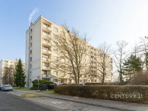 Pronájem bytu 1+1, Děčín, Oblouková, 35 m2