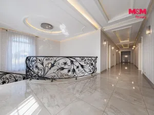 Prodej rodinného domu, Šestajovice, U Váhy, 356 m2