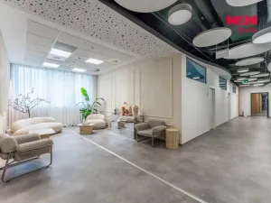 Pronájem komerční nemovitosti, Praha, Jihlavská, 25 m2