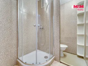 Pronájem bytu 1+kk, Plzeň - Doudlevce, Šimerova, 20 m2