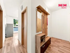 Prodej bytu 2+1, Brno - Žabovřesky, Luční, 50 m2