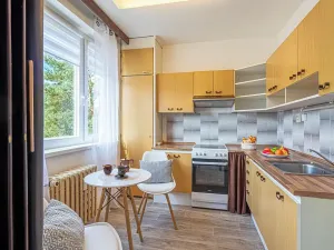 Prodej bytu 2+1, Mladá Boleslav, Na Radouči, 55 m2