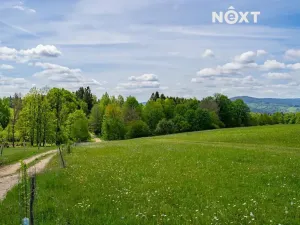 Prodej pozemku, Přídolí, 18124 m2