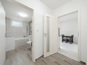 Pronájem bytu 2+kk, Ostrov, Halasova, 55 m2