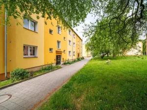 Pronájem bytu 2+kk, Ostrov, Halasova, 55 m2