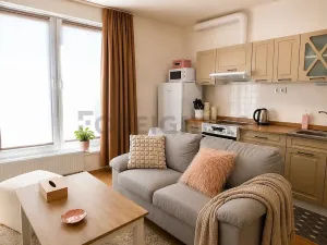 Pronájem bytu 1+kk, Plzeň, Stehlíkova, 39 m2