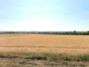 Prodej pole, Olomouc, 29414 m2