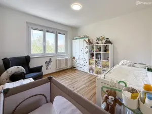 Prodej bytu 3+1, Hodonín, Družstevní čtvrť, 73 m2