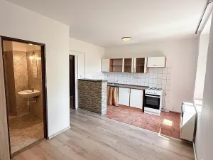 Pronájem bytu 1+kk, Český Brod, Želivského, 52 m2