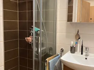 Pronájem bytu 2+kk, Brno, Ječná, 54 m2