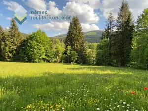 Prodej pozemku pro bydlení, Železná Ruda, 3475 m2