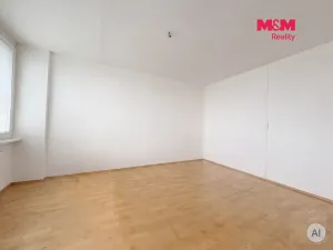Pronájem bytu 3+1, Ústí nad Labem - Ústí nad Labem-centrum, Hoření, 62 m2