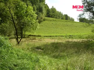 Prodej louky, Janův Důl, 2749 m2
