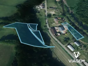Prodej podílu lesa, Kobylá nad Vidnavkou, 1161 m2