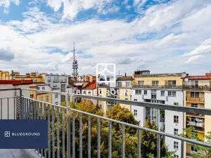 Pronájem bytu 3+kk, Praha - Žižkov, Vinohradská, 90 m2