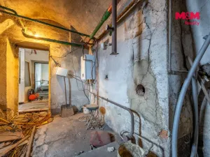 Prodej rodinného domu, Měcholupy - Želeč, 424 m2